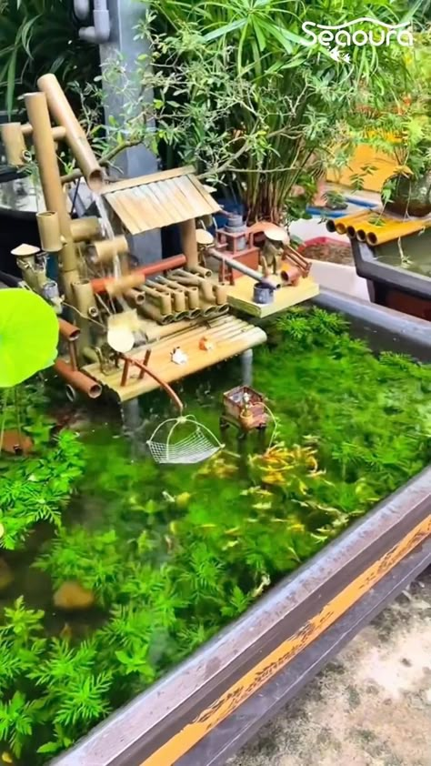 #seaoura #aquarium #aquariumtank #aquariumfish #aquariumlove #aquariumfans Crystal Aquascape, Indoor Ponds Ideas, Natural Fish Tank Ideas, Fish House Ideas, Tall Aquarium, Aquarium Decorations Ideas, Fish Aquarium Ideas, Indoor Pond, Fish Aquarium Decorations