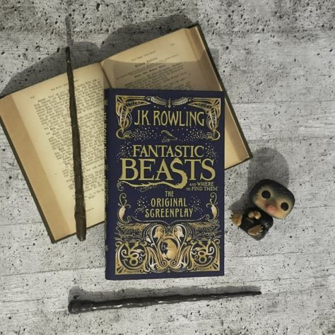 [Books] J. K. Rowling - Fantastic Beasts and Where to Find Them: The Original Screenplay Fantastic Beasts And Where To Find Them Book, Fantastic Beasts And Where To Find Them Aesthetic, Fantastic Beasts Book, Book Wishlist, Potter Aesthetic, Fantastic Beast, Fantastic Beasts And Where, J K Rowling, Fantasy Book