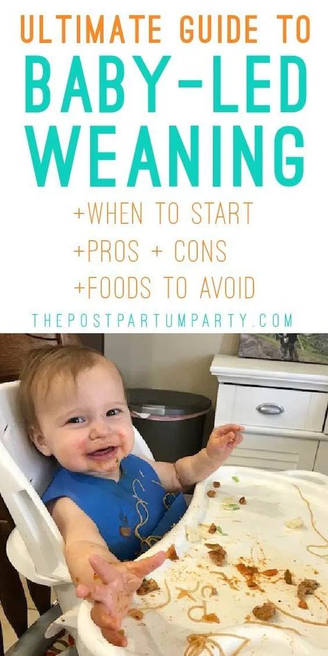 Baby Led Weaning First Foods, Weaning Foods, Baby Led Feeding, First Foods, Baby Cereal, Baby Led Weaning Recipes, Baby First Foods, Weaning Recipes, Introducing Solids