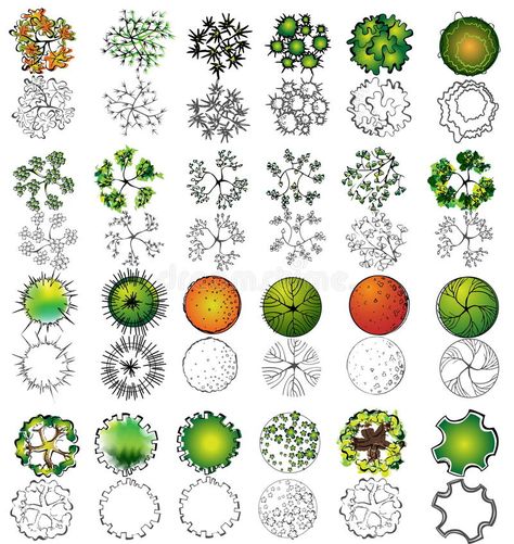 A set of treetop symbols stock illustration Architecture Symbols, Landscape Architecture Plan, Landscape Design Drawings, Landscape Architecture Drawing, Tree Sketches, Landscape Sketch, Landscape Concept, Garden Design Plans, Landscape Design Plans