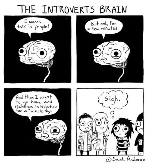 Sarah Anderson Comics, Sarah's Scribbles, Sarah Andersen, The Awkward Yeti, Sarah Anderson, 4 Panel Life, Introvert Problems, Online Comics, Socially Awkward