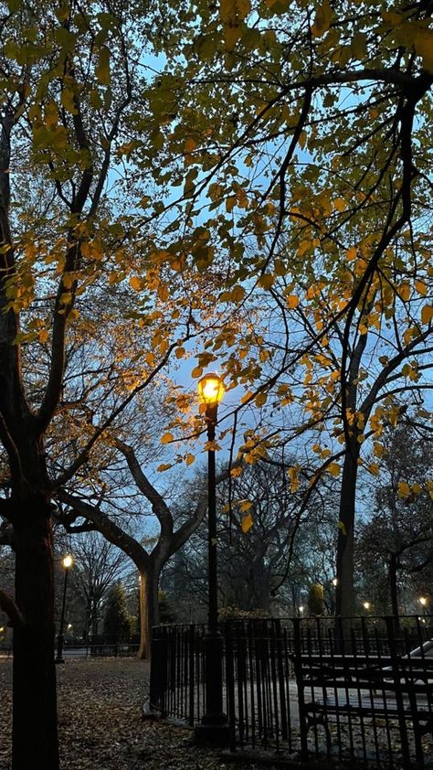 Street Lights, Fall Inspo, Best Seasons, We Fall In Love, Autumn Cozy, Autumn Aesthetic, Nature Aesthetic, Pretty Places, Aesthetic Photo