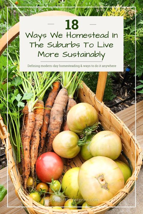 People are beginning to shift towards more self-sufficient and slower living lifestyles, which is leading to people starting to homestead no matter where they live. This post gives a brief overview of the modern-day term of homesteading, a list of 18+ ways to homestead in the suburbs, and some beginner homesteading tips. Sustainable Homestead, Self Sufficient Homestead, Homesteading Diy, Diy Planter Box, Urban Homesteading, Homestead Survival, The Suburbs, Eco Friendly Living, Part Time Jobs