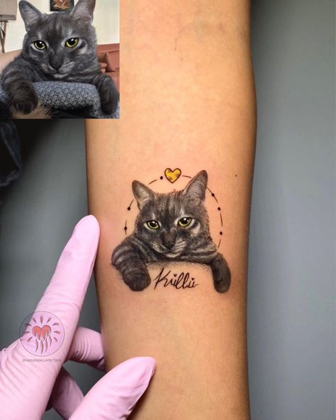 •Küllü 💛 . . . #cat #catlover #tattoo #catportrait #petlovers #tattoink #bestfriends #kitty #paw #cattattoo #gray | Instagram Cat Portrait Tattoo, Tattoo Gato, Cat Portrait Tattoos, Gray Instagram, Tattoos Arm, Snake Drawing, Cat Tat, Tattoo Zeichnungen, Cat Tattoos