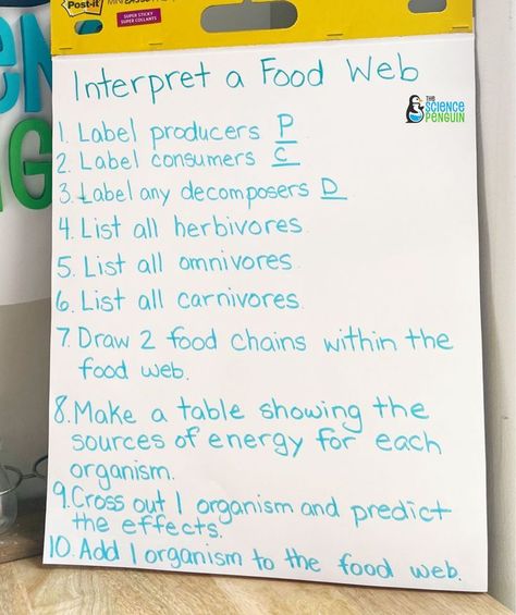 Here is a simple activity with a list of items for students to complete about ANY food web. Just provide a food web and watch them go! Classroom Structure, Food Web Activities, Food Webs, Fourth Grade Science, Science Notebook, Food Chains, 4th Grade Science, 5th Grade Science, Food Web