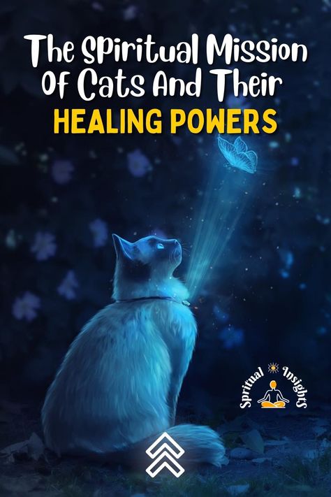 Cat Spirit Animal, Beings Of Light, Animal Meanings, Cat Spirit, Animal Reiki, Aura Healing, Cat Repellant, Survival Books, Spiritual Animal