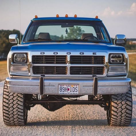 Dodge Diesel Trucks, Old Dodge Trucks, Dodge Diesel, Cummins Trucks, Chevy Diesel Trucks, Trucks Lifted Diesel, Dodge Pickup, Vintage Pickup Trucks, Lifted Truck