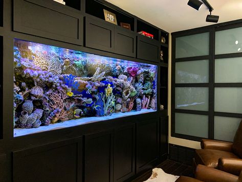 Big Aquarium Living Rooms, Fish Tank Wall, Custom Aquarium, Big Aquarium, Wall Aquarium, Ocean Aquarium, Fish Tank Design, Aquarium Stand, Chill Room