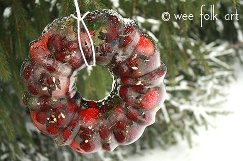 Frozen Fruit Ring Feeders | Wee Folk Art Wee Folk Art, Bird Feeder Craft, Bowl Pattern, Paper Star Lanterns, Star Lantern, Food Rings, Frozen Art, Wee Folk, Homeschool Crafts