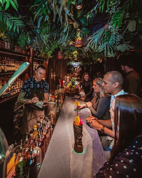 Chicago Bucket List on Instagram: “A Jungle escape in the heart of River North 🍍🌴🍹 Who wants to grab a drink at @threedotsandadash?” Jungle Bar Design, Witchy Bar, Three Dots And A Dash, Tikki Bar, Tropical Bar, Yard Crashers, Chicago Bucket List, Neon Jungle, Tiki Bars