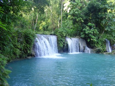 Cambugahay Falls (Siquijor Island) - 2020 All You Need to Know BEFORE You Go (with Photos) - Tripadvisor Cambugahay Falls, Siquijor Island, Honeymoon Vacations, Reunion Island, Quezon City, Honeymoon Travel, Pretty Places, Rafting, Cool Places To Visit