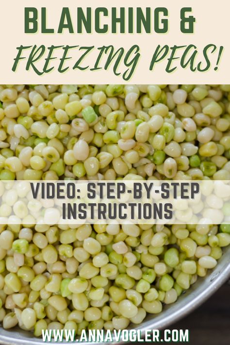 Freezing Peas, Canning Peas, Freezing Butter, Fresh Pea Recipes, Blanching Vegetables, Crowder Peas, Beans And Greens, Blackeyed Peas, Freezing Vegetables