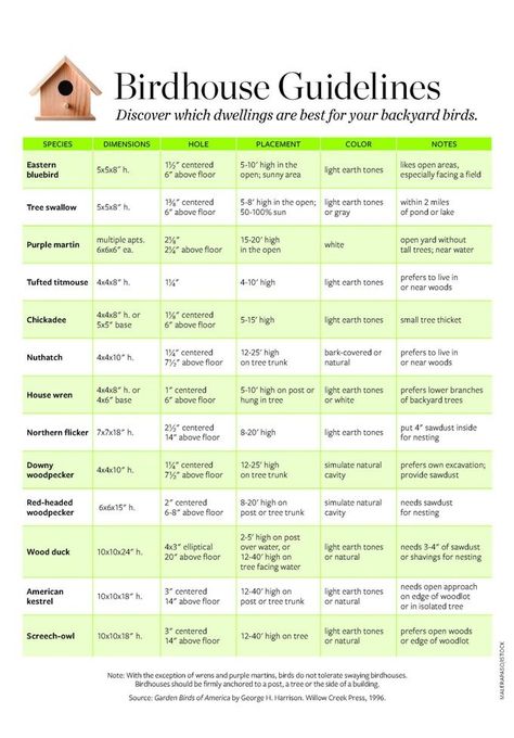 Birding Guidelines: Birdhouse Hole Size Chart - Birds and Blooms Unique Bird Houses Diy, Diy Nest, Tree Swallow, Bird Houses Ideas Diy, Chickadee Bird, Nest Box, Bird House Plans, Gourds Birdhouse, Unique Bird Houses