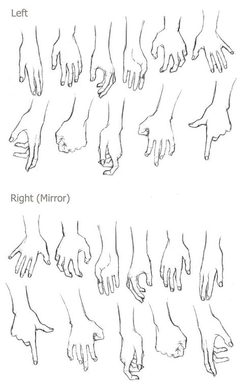 Left and right hands Drawing Hands, Drawing Eyes, Drawing Hair, Hand Drawing Reference, Hand Reference, 캐릭터 드로잉, Guided Drawing, Drawing Lessons, Drawing Challenge