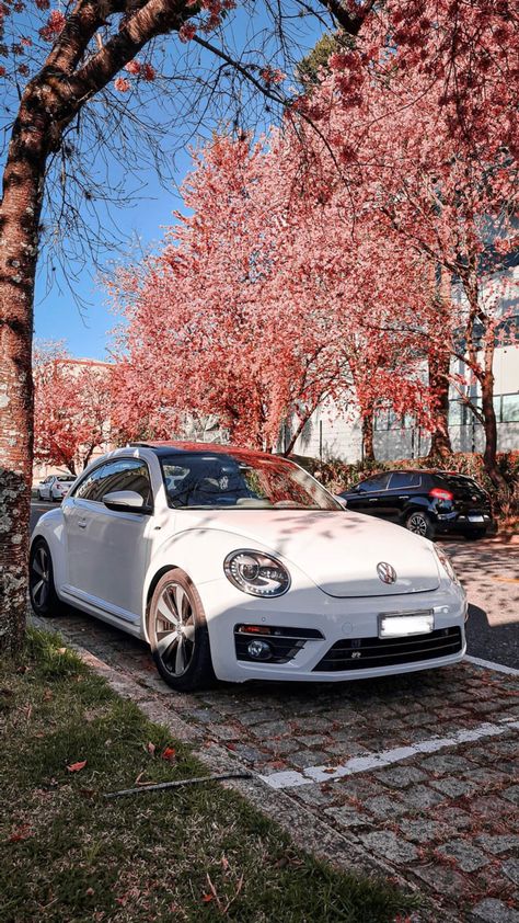 White Volkswagen Beetle Aesthetic, Bettle Volkswagen Convertible, Bettle Volkswagen Aesthetic, Volkswagen Beetle Wallpaper, Volkswagen Jetta Aesthetic, Vw Beetle Aesthetic, Volkswagen Beetle Decor, Volkswagen Beetle Aesthetic, White Volkswagen Beetle