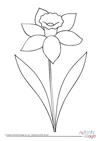 How To Draw A Daffodil, Daffodil Outline, Daffodils Drawing, Daffodil Drawing, Daffodil Photography, Daffodil Craft, Daffodil Color, Daffodil Day, March Birth Flowers