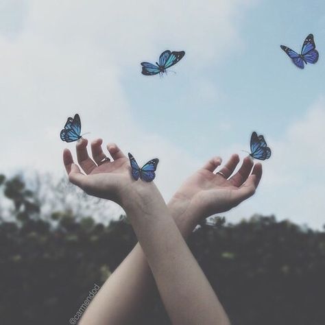 Imagem de butterfly, blue, and sky Ravenclaw Aesthetic, Chloe Price, Everything Is Blue, Light Blue Aesthetic, Blue Butterflies, Life Is Strange, 영감을 주는 캐릭터, Ravenclaw, Baku