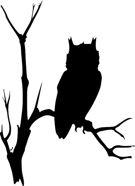 Owl, Branches, Tree, Dead, Eerie, Watching, Nature Tree Branch Outline, Crow Images, Wood Block Art, Vector Tattoo, Owl Silhouette, Tree Vector, Spooky Trees, Simple Tree, Silhouette Painting