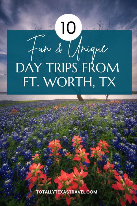 If you are looking for fun day trips from Fort Worth, Texas, you're in the right place. This post outlines 10 easy day trip from Ft. Worth! Texas travel | Fort Worth, Texas | getaways in Texas | weekend getaways in Texas | Texas day trips | things to do near Fort Worth | Texas travel guide | small towns in Texas Texas Day Trips, Texas Beach Vacation, Texas Weekend Getaways, Texas Getaways, Dinosaur Valley State Park, Ft Worth Texas, California With Kids, Texas Travel Guide, America City