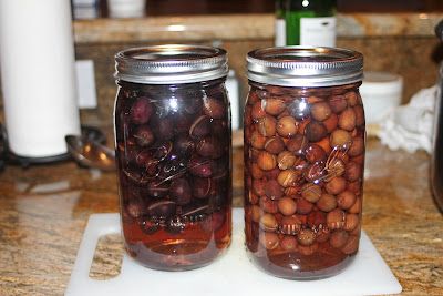 The Grub Files: Cooking with Camissonia: Finish Brine for Water-Cured Olives Garlic Sauce For Chicken, Fresh Olives, Peppercorn Sauce, Pickling Salt, Brine Recipe, Glass Noodles, Black Olives, Steak Sauce, Oyster Sauce