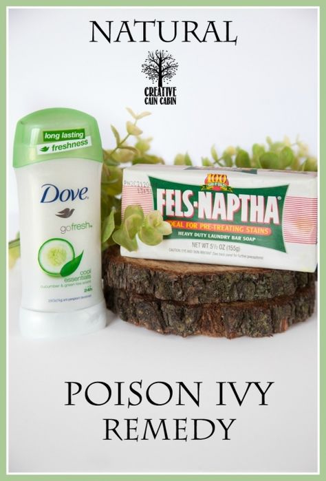 Natural Poison Ivy Remedy | Drug Free | CreativeCainCabin.com Poison Ivy Remedies, Natural Healing Remedies, Natural Pain Relief, Homemade Remedies, Poison Ivy, Makeup Geek, Natural Home Remedies, Natural Medicine, Health Remedies