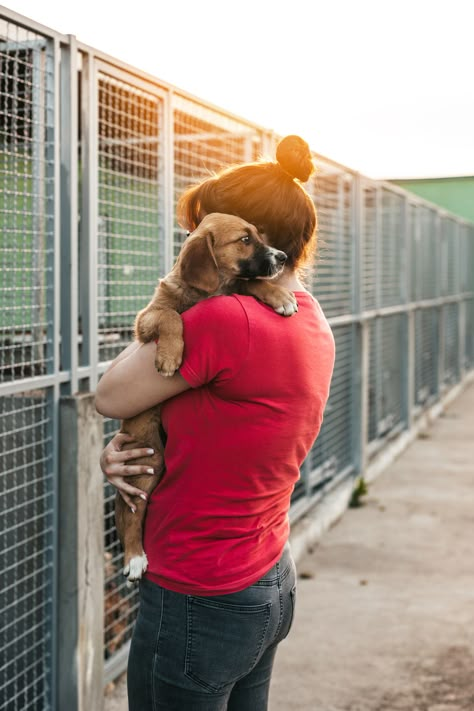 Helping Dogs, Help Animals, Helping Animals Aesthetic, Animal Shelters, Animal Adoption, Working With Animals Aesthetic, Help People, Animal Shelter Ideas, Pet Shelter