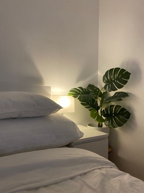 white pillows and bedsheets, monstera plant and light, aesthetic vibe bedroom Monstera In Living Room, Monstera Bedroom, Monstera Aesthetic, White Bedsheets, Minimalist Plants, Big Leaf Plants, Bed Aesthetic, Warm Minimalism, Boho Apartments