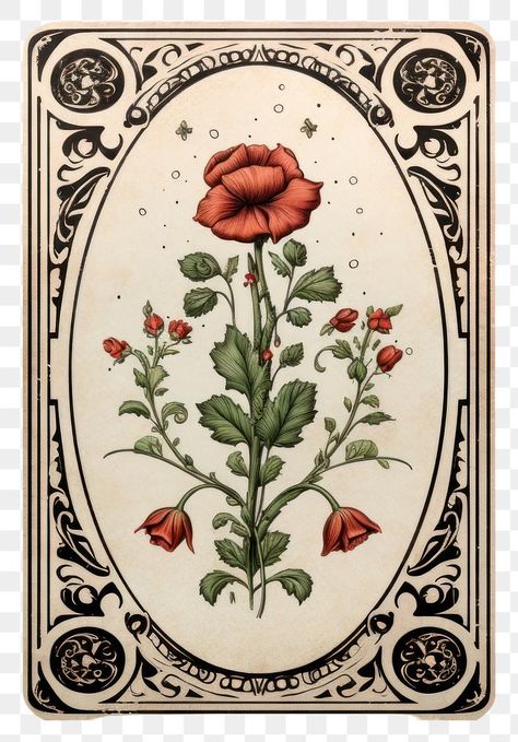 Png Pattern, Nature Ideas, Card Png, Pattern Flower, Game Card, Plant Art, Flower Plant, Red Poppies, Tarot Card