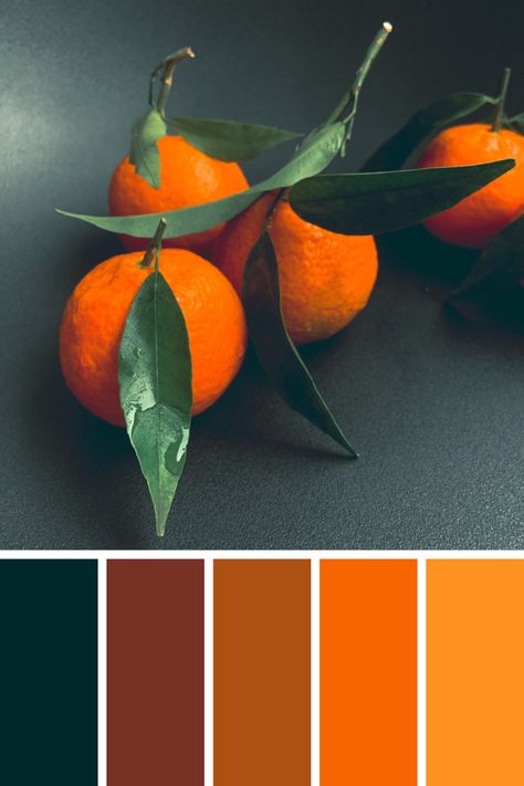 Complementary Colors Palette, Tangerine Color Palette, Color Palette Inspiration, Contour Makeup Tutorial, Orange Color Palettes, Tangerine Color, Palette Inspiration, Room Color Schemes, Emerald Color