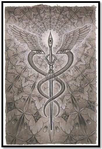 The CADUCEUS, universal medical symbol. It is also the staff of HERMES and (Tut)moses. This symbol represents the awakened KUNDALINI also known as the DIVINE SERPENT or NAGA. / Sacred Geometry <3 Alex Gray Art, Alex Grey, Esoteric Art, Medical Symbols, Psy Art, Art Ancien, Occult Art, Ancient Symbols, Visionary Art