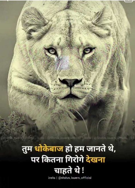 Dhokebaaz Quotes In Hindi, Ias Quotes, Love Is Hard Quotes, Antique Quotes, Dhoni Quotes, Tips For Happy Life, Bad Attitude Quotes, Likeable Quotes, Good Morning Greeting Cards