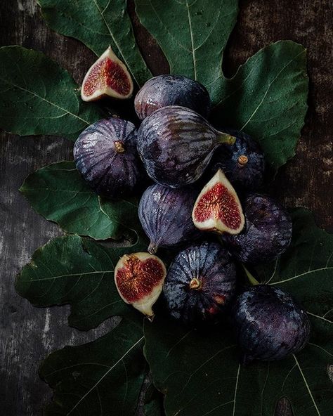 Fig Tree Aesthetic, Purple Fall Aesthetic, Fig Aesthetic, Dark Food Photography, Fig Trees, Legends And Myths, Bedroom Eyes, Fruit Photography, Still Life Photos