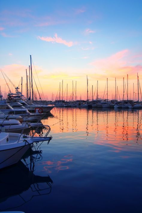 Marina sunrise sunset sport boat colorfu... | Premium Photo #Freepik #photo #travel #water #sports #beach Watch The Sunset, Sport Boats, The Sunset, Water Sports, Premium Photo, Sunrise Sunset, Boats, Stock Photos, Natural Landmarks