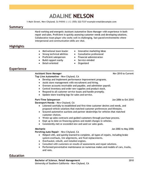 Professional Summary, Sales Resume Examples, Accountant Resume, Resume Summary Examples, Resume Objective Examples, Resume Professional, Sales Resume, Job Description Template, Resume Summary