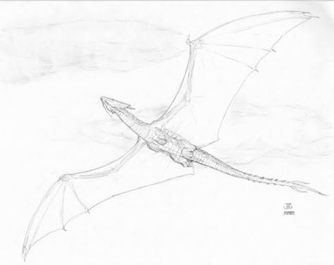 Flying Dragon Sketch by J-Ian-Gordon on deviantART Dragon Sketch Flying, Dragon Flying In Distance, Dragon Flying Drawing Reference, Dragon Flying Reference, Flying Dragon Sketch, Dragon Flying Drawing, Flying Dragon Drawing, Flying Dragon Art, Dragon Rib Tattoo