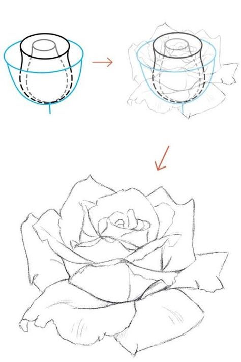 Ako Kresliť, Draw A Rose, Flower Drawing Tutorials, Flower Art Drawing, Flower Sketches, Roses Drawing, Arte Sketchbook, Pencil Art Drawings, Flower Art Painting