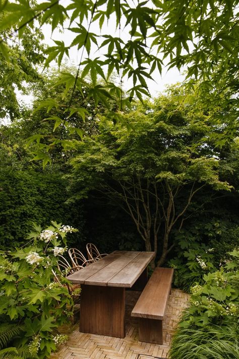 A perfectly formed small city garden by our Garden Designer of the Year | House & Garden Garden Beside House, Diy Garden House, Hepworth Sculpture, Sustainable Garden Design, Garden Design London, Small City Garden, Home Garden Ideas, Garden Pathways, Shade Tolerant Plants