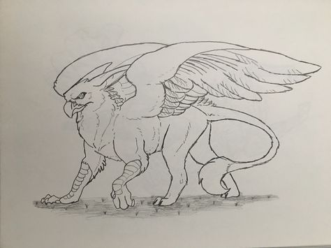 Your average gryphon. Or, if you're a Harry Potter fan, Buckbeak. Harry Potter Hypogriff, Buckbeak Art, Griffin Drawing Easy, Buckbeak Drawing, Harry Potter Zeichnung, Buckbeak Harry Potter, Griffin Drawing, Griffin Tattoo, Mythical Creatures Drawings