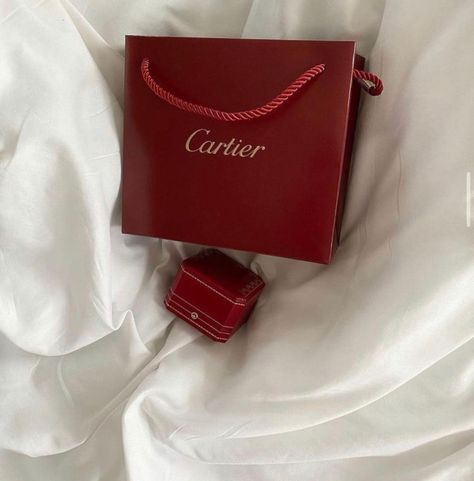 Cartier Bag, Bag Aesthetic, Bags Aesthetic, Heart Sign, About Fashion, Old Money, Cute Fashion, Cartier, New Era