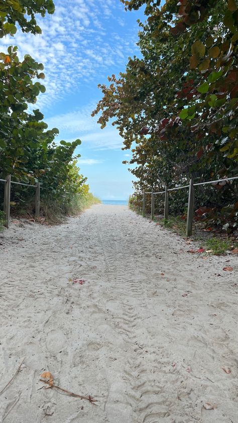 Key biscayne Key Biscayne, Sweet 16, Country Roads, Key, Water, Travel, Quick Saves