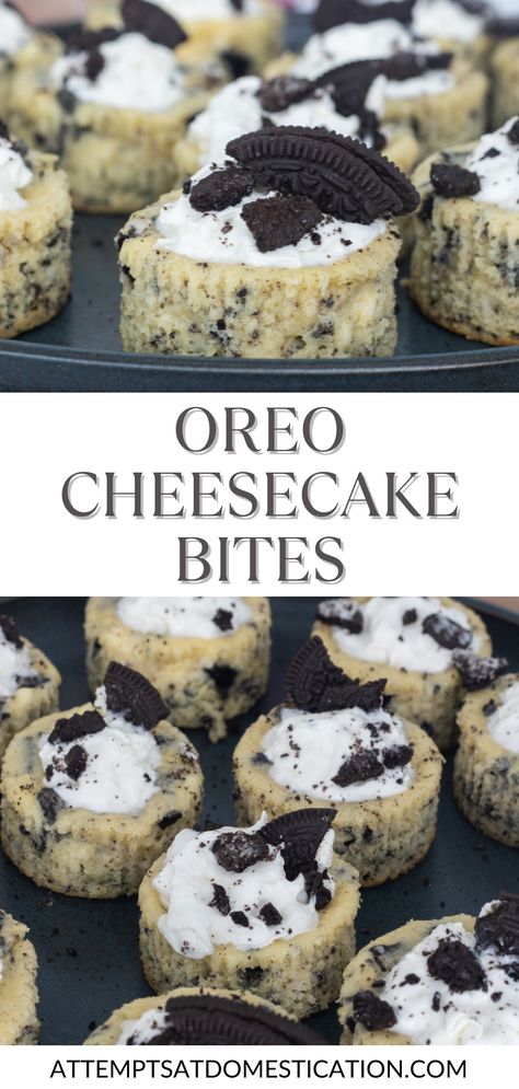 Homemade cheesecake has always intimidated me, but these Oreo Cheesecake Bites are anything but intimidating! They only require five ingredients and a cupcake pan! The creamy Oreo cheesecake filling is made with cream cheese, eggs, sugar, vanilla, and Oreos. Mini Muffin Tin Recipes Desserts, Oreo Cheesecake Cups, No Bake Oreo Cake, Oreo Cheesecake Cupcakes, Mini Cupcake Recipes, Oreo Cupcake Recipe, Mini Oreo Cheesecake, Oreo Cheesecake Bites, Healthy Cupcakes