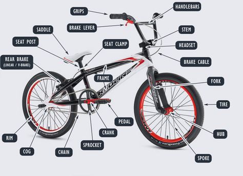 Bmx Cranks, Bmx Brands, Bmx Wheels, Bmx Handlebars, Bmx Bike Parts, Mountain Bike Parts, Best Bmx, Bmx Frames, Touring Bicycles