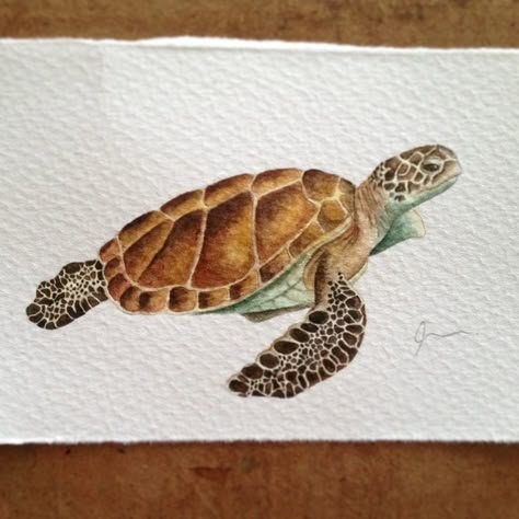 Sea Turtle Decor, Sea Turtle Watercolor, Sea Turtle Painting, Turtle Watercolor, Turtle Drawing, Sea Turtle Art, Turtle Decor, Turtle Tattoo, Turtle Painting