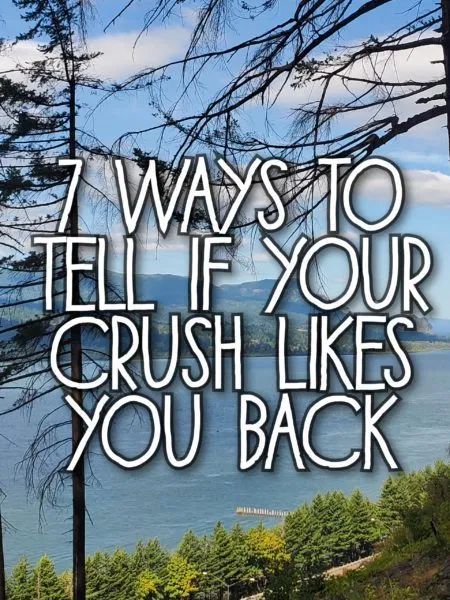 Everyone has a crush at some point in their life. Crushes can range from being How To Tell Your Crush Happy Birthday, How To Tell If You Have A Crush On Someone, What If Your Crush Doesnt Like You, How To Say Happy Birthday To Your Crush, Ways To Ask Your Crush Out, Happy Birthday To You Nobody Likes You, How To Now If Your Crush Likes You, How Do I Ask My Crush Out, Ways To Tell Your Crush You Like Them