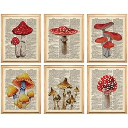 Mushroom Room Decor, Mushroom Wall Art, Cottagecore Room, Retro Mushroom, Herb Art, Mushroom Poster, Earthy Decor, Cottagecore Room Decor, Mushroom Pictures