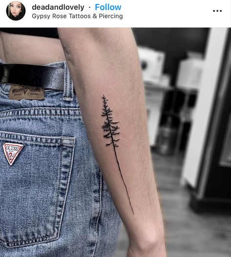 Colorado Tree Tattoo, Sitka Tree Tattoo, Sitka Spruce Tattoo, Loblolly Pine Trees Tattoo, Canada Tatoos Ideas, Long Leaf Pine Tattoo, Upper Peninsula Tattoo, Douglas Fir Tattoo, Nature Tattoos Men