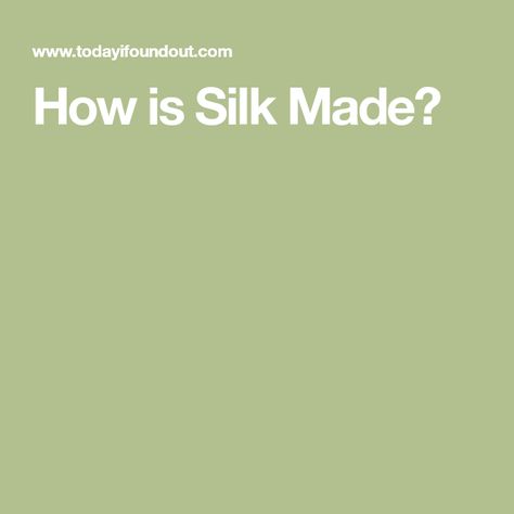 How is Silk Made? New Possibilities, Soft Fabrics, Thread, Silk