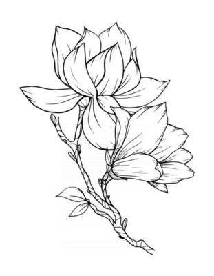 Magnolia Line Drawing, Magnolia Drawing Simple, Magnolia Flower Drawing, Magnolia Sketch, Magnolia Drawing, Diy Art Projects Canvas, Vintage Line Art, Scrap Wood Art, Arm Sleeve Tattoos For Women