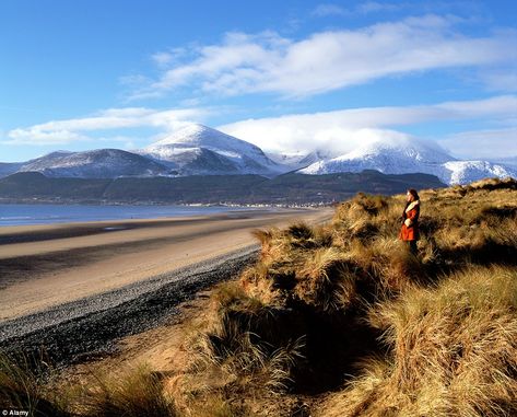 The jagged mountains of Mourne in County Down, Northern Ireland, has been voted the nation... Northern Ireland Landscape, County Down Northern Ireland, Game Of Thrones Locations, County Roscommon Ireland, Ballycastle Northern Ireland, Slieve Bloom Mountains Ireland, Rocky Shore, British Countryside, Yorkshire Dales