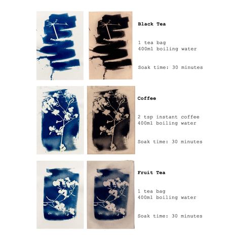 Toning Cyanotypes Cyanotype Art Ideas, Fabric Cyanotype, Toning Cyanotypes, Screen Printing Paper, Wet Cyanotype Tutorial, Cyanotype Ideas, Cyanotype Toning, Cyanotype Art, Cyanotype Insect